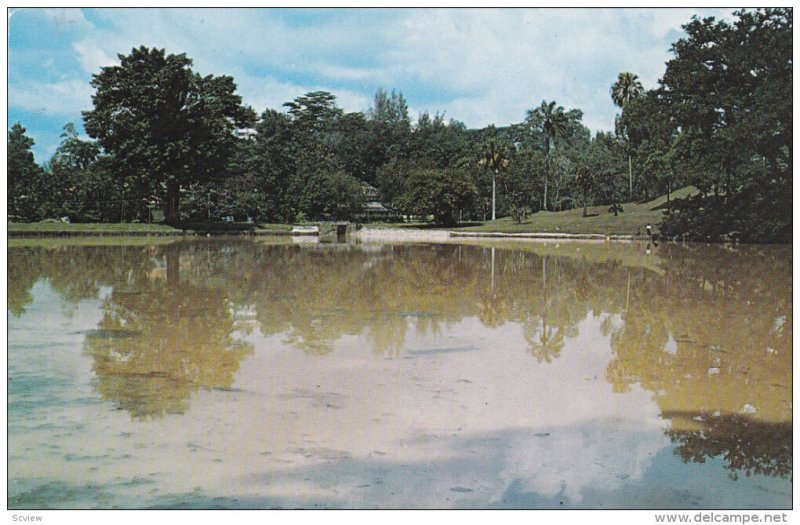 Kuala Lumpur , Malaysia , 50-60s : The Lake Garden