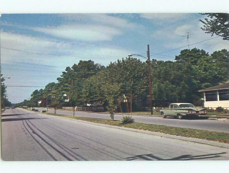 Unused Pre-1980 OLD CARS & TREES ALONG STREET Rehoboth Delaware DE n0834