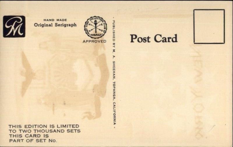 NEW YORK State Flag Serigraph Old Postcard