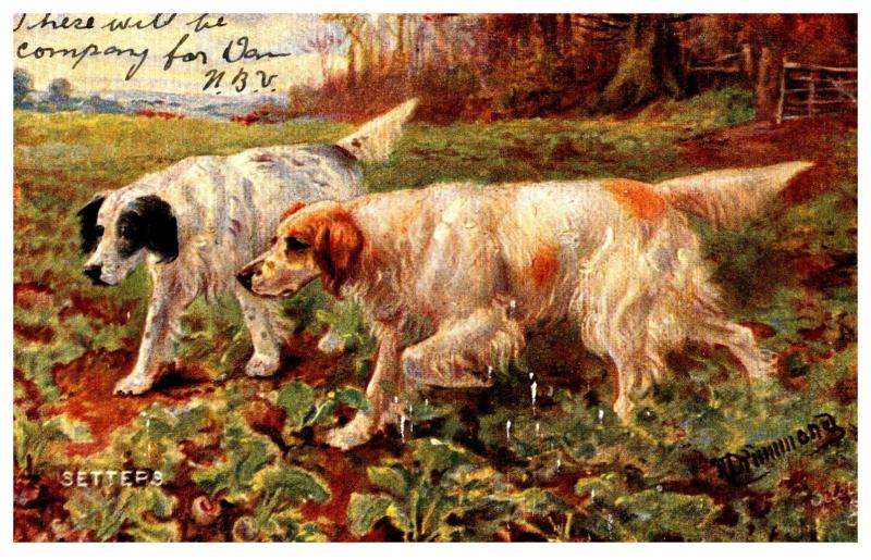 Dog Tuck's no. 9105  Setters , artist signed