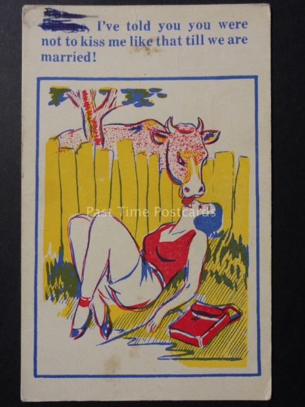 Donald McGill Comic PC, Kissing Cow I Told You Not To Kiss Me Like That-