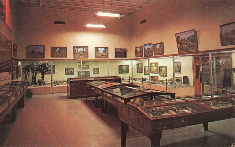 Postcard Geology and Fossil Hall Field House of Natural History Vernal Utah 