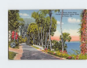 Postcard Scenic Drive along Florida's Beautiful Indian River, at Cocoa, Florida