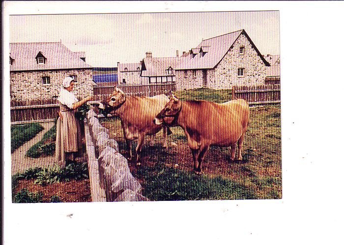 Fortress of Louisbourg, Woman with Cows, Cape Breton, Nova Scotia,