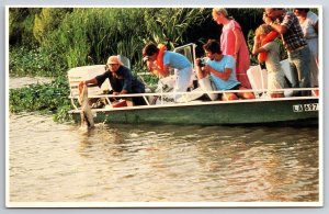 Louisiana~Annie Millers Renowned Terrebonne Swamp Tours Fish Scene~Vtg Postcard
