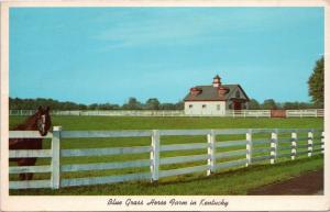 Blue Grass Horse Farm In Kentucky - Lexington - Famous Calumet Farm Horse Barn