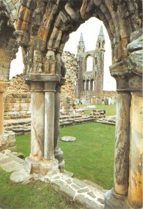 uk43178 old catehdral st andrews scotland uk