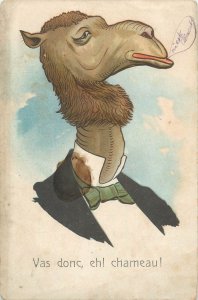 Humanized animals comic camel caricature postcard 1922