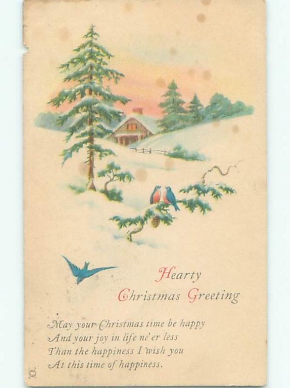 Divided-Back CHRISTMAS BIRDS SCENE Pretty Postcard W8550