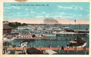 Vintage Postcard Yacht Anchorage Harbor Scene Biscayne Bay Miami Florida Fla.