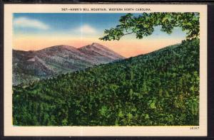 Hawk's Bill Mountain,NC