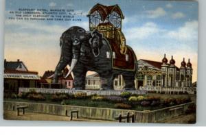 Atlantic City NJ Elephant Hotel Postcard