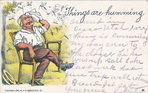 Humour Man On Park Bench With Mosqitoes Things Are Humming 1909