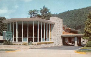 Gatlinburg, TN Tennessee  BEARSKIN MOTEL  Roadside  ca1950's Chrome Postcard