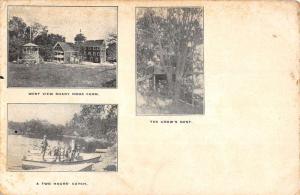 Shady Nook Farm Massachusetts Scenic Multiview Antique Postcard K81318