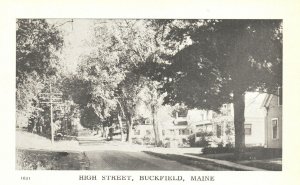 Vintage Postcard 1920's High Street Buckfield Maine The Townview Card Co. Pub.