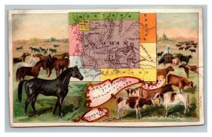 Vintage 1880's Victorian Trade Early Statehood Nebraska Population - Horses Map