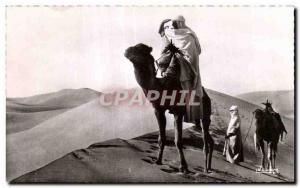 Old Postcard Algeria COLLECTION SAHARA In search of the Camel trail Camel