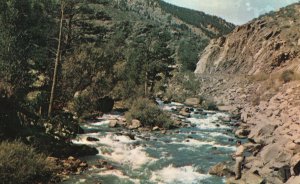 Vintage Postcard Fishing In Big Thompson Rocky Mountain National Park Colorado