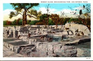 Texas San Antonio Breckenridge Park Monkey Island