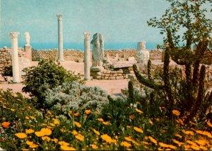Tunisia Carthage L'antiquarium