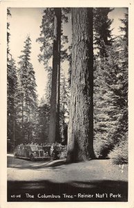 J14/ Rainier National Park Washington RPPC Postcard c50 Columbus Tree 259