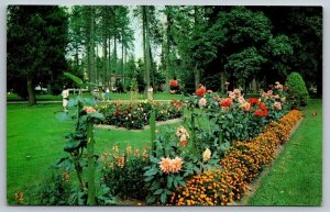 Coeur d'Alene City Park    Idaho   Postcard