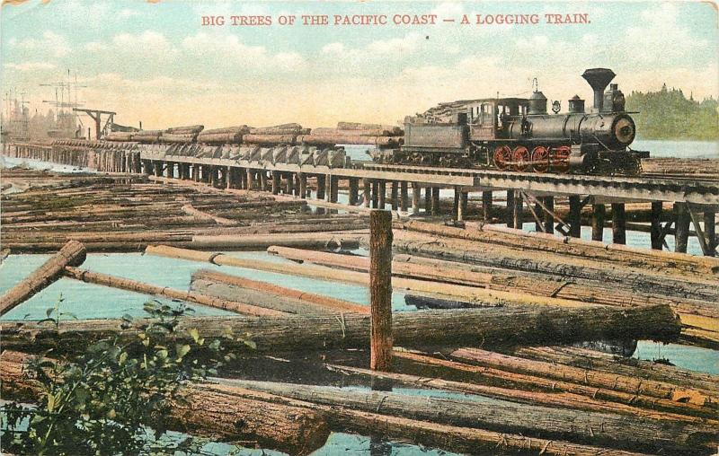 Big Trees Of The Pacific Coast Postcard. A Logging Train