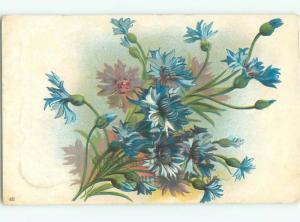 Divided-Back BEAUTIFUL FLOWERS SCENE Great Postcard AA2771