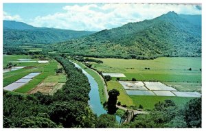 Hanalei Valley Island of Kauai Hawaii Postcard