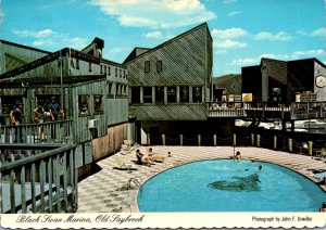 Connecticut Old Saybrook Black Swan Marina Showing Swimming Pool