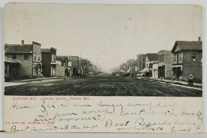 TOMAH Wisconsin 1907, Superior Ave Looking North to Watertown udb Postcard Q15