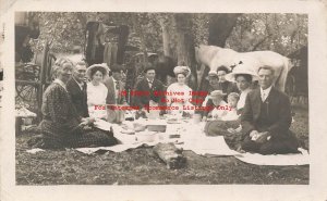 Unknown Location, RPPC, Family Group Having a Picnic, White Horse, Photo