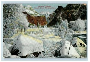 c.1910 Christmas Tine Yosemite Domes CA Postcard F65 