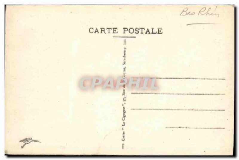 Old Postcard Saverne Garden Roses