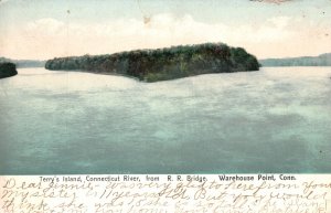 Vintage Postcard Terry's Island Connecticut River From RR Bridge Warehouse Point