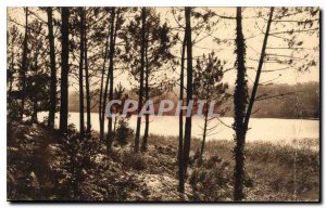 Postcard Old In The Pond of the Landes de Gascogne Laprade Moliets