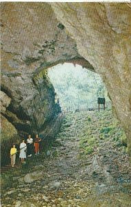 America Postcard - Historic Entrance to Mammoth Cave - Kentucky  Posted  AB84