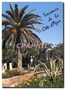 Modern Postcard Souvenir of the French Riviera