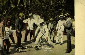 cuba, HAVANA, Riña de Gallos, Cockfight (1900s) Postcard