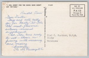 Animal~Dog~Cocker Spaniel Puppy @ Fence~Vintage Postcard 