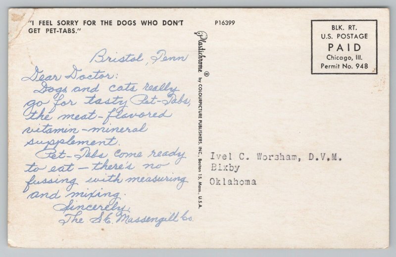 Animal~Dog~Cocker Spaniel Puppy @ Fence~Vintage Postcard 