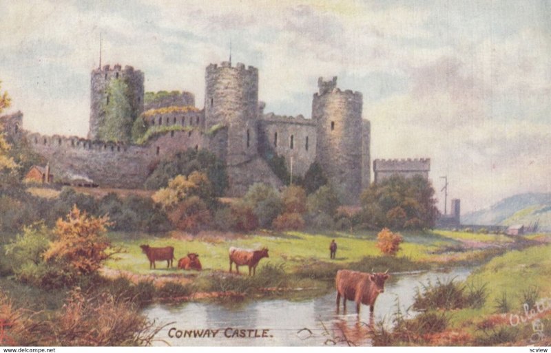 CONWAY Castle,1906; TUCK 7097