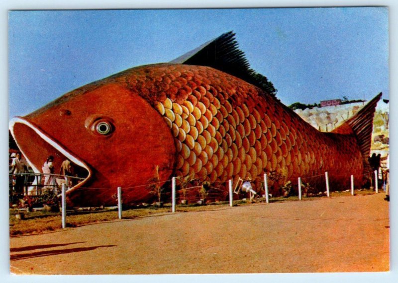BANGALORE, INDIA ~ Exhibition GIANT FISH MODEL  4x6 Postcard