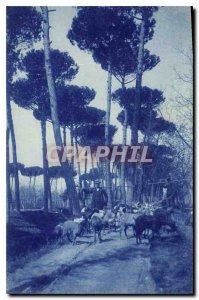 Postcard Old Goats Shepherd