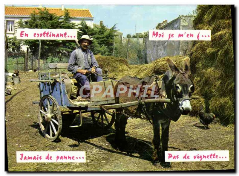 Modern Postcard Donkey hitch Folklore