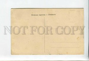 3172156 CAUCASUS Type Kurd women picking tea Vintage postcard