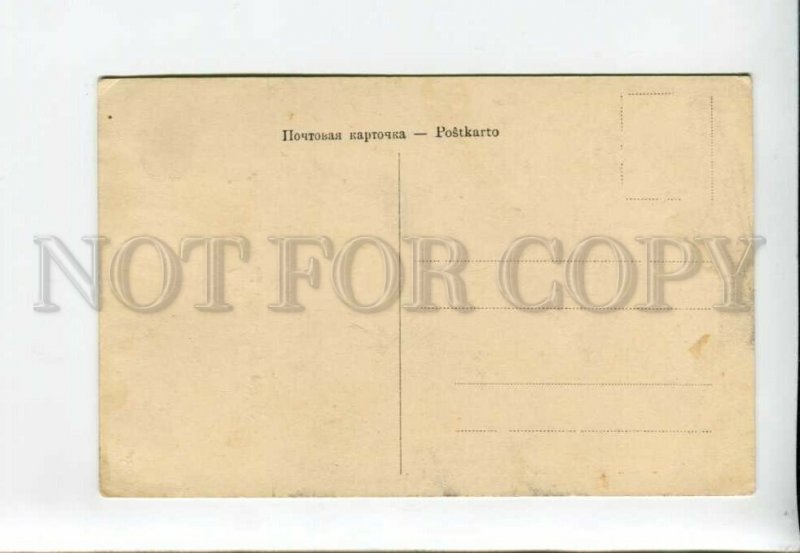 3172156 CAUCASUS Type Kurd women picking tea Vintage postcard