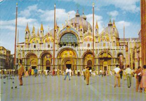 Italy Venezia Colombi in Piazza San Marco