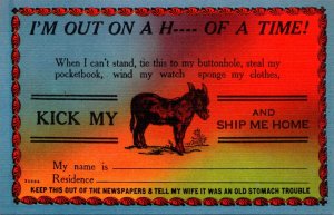 Florida Humour I'm Out On A Hell Of A Time Kick My Ass and Ship Me Home